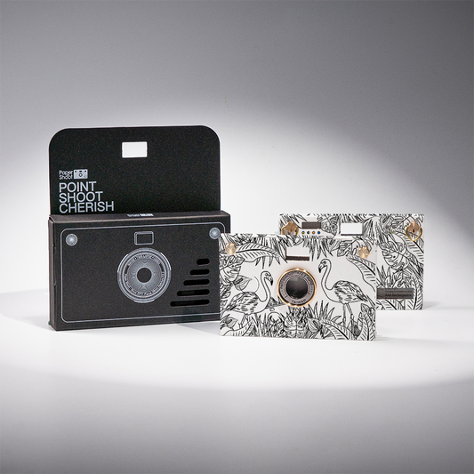 Coloring Series Case