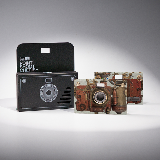 Steampunk Series Case