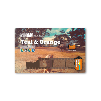 Accessories: Filter Card (Teal & Orange) *NEW*
